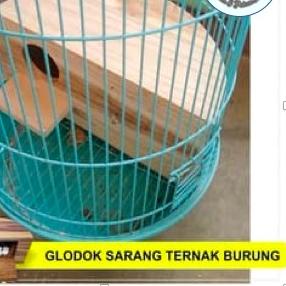 ● GLODOK SETENGAH LINGKARAN UNTUK LOVEBIRD - glodok untuk kandang kapsul ➯