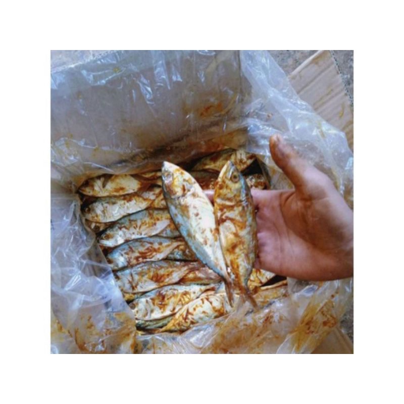 

Ikan Asin Peda merah 1kg tebal dan enak
