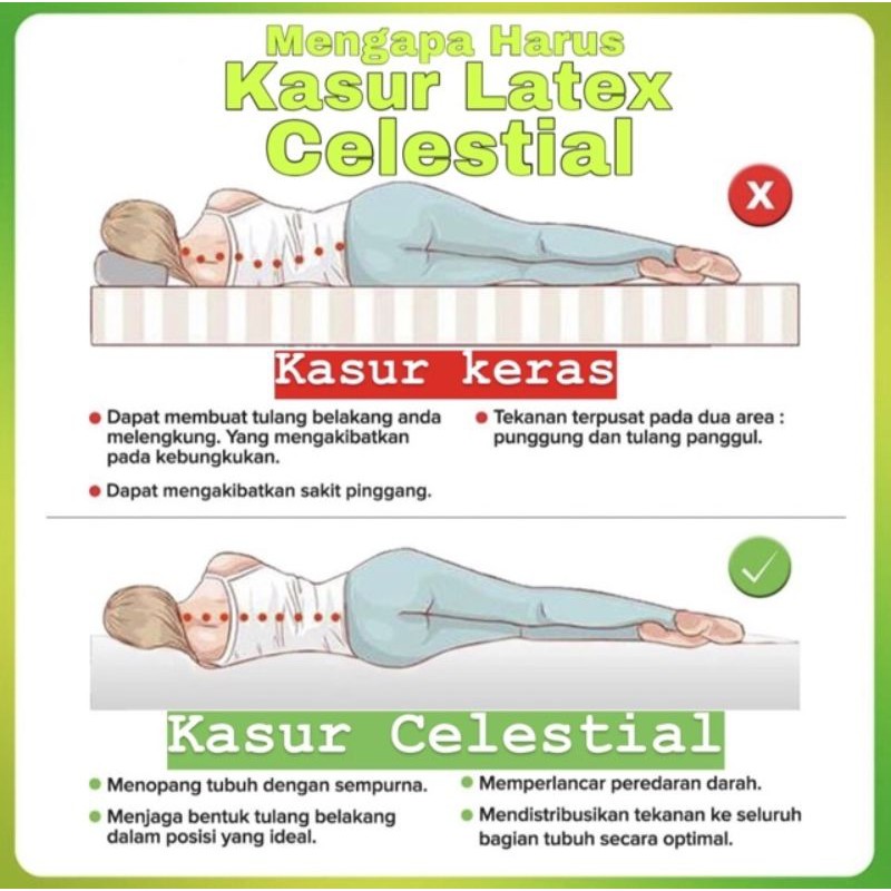 bantal kesehatan celestial pria laki 100% natural latex asli ori original USA garansi jamin jaminan