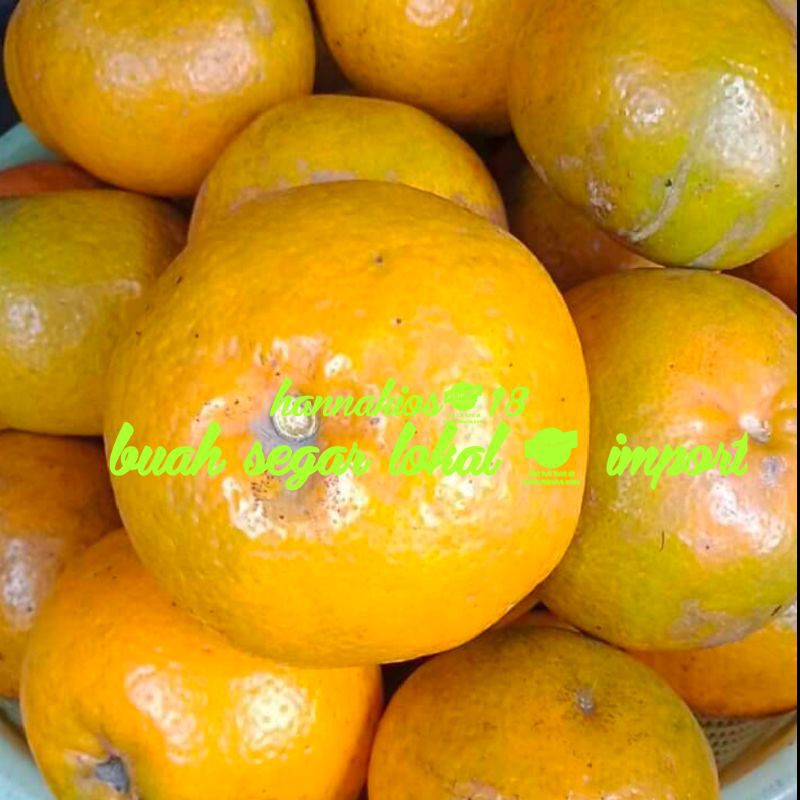 

JERUK MEDAN SUPER 1KG