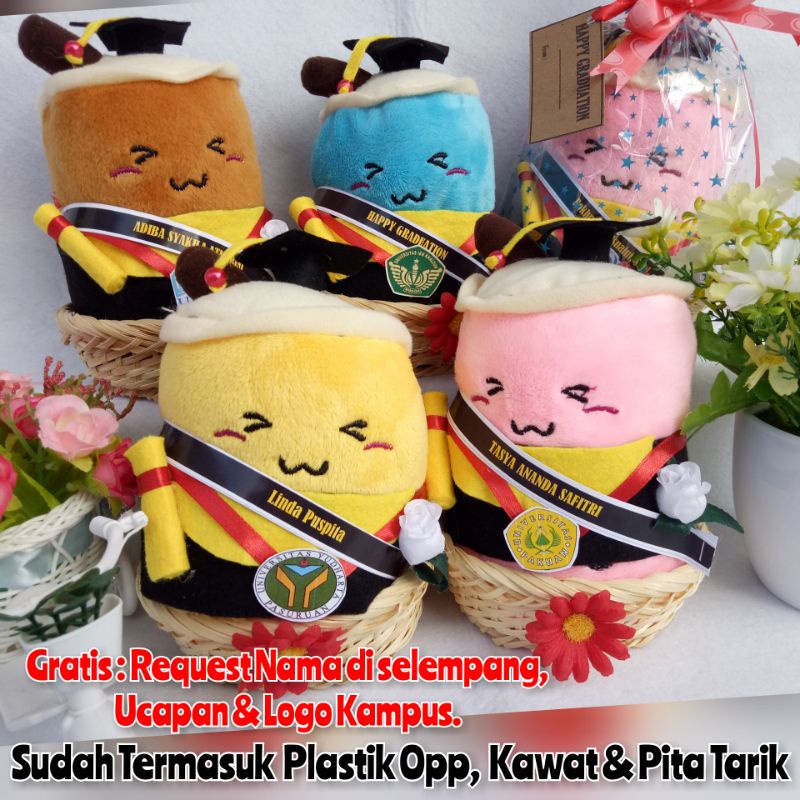 	 BONEKA WISUDA BOBA KERANJANGuk ±16 Cm / Kado Wisuda	