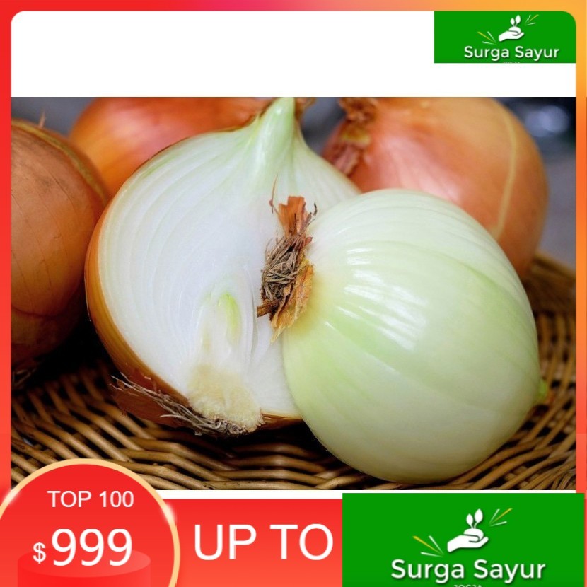 

SURGA SAYUR SEGAR Bawang Bombay 100 Gram