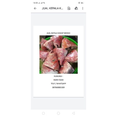

jual kepala ikan kakap merah