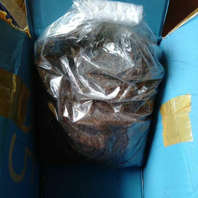 Media Tanam Kaktus/sukulen