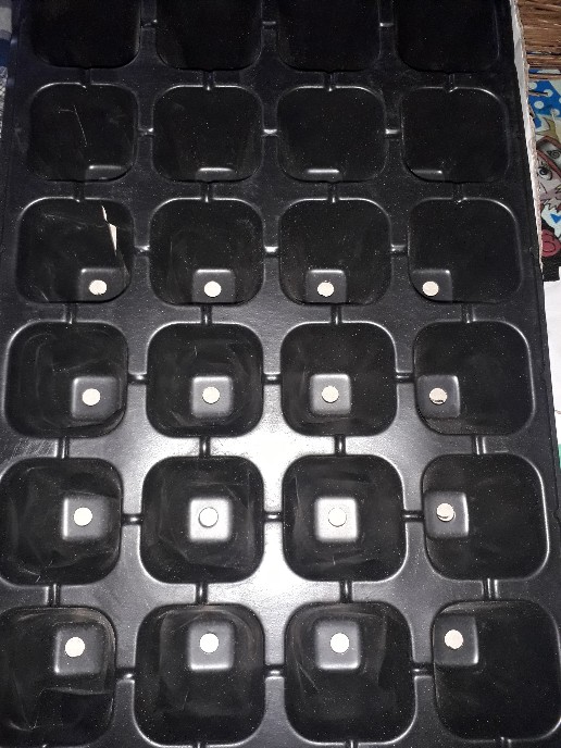 Tray Semai 32 Lubang