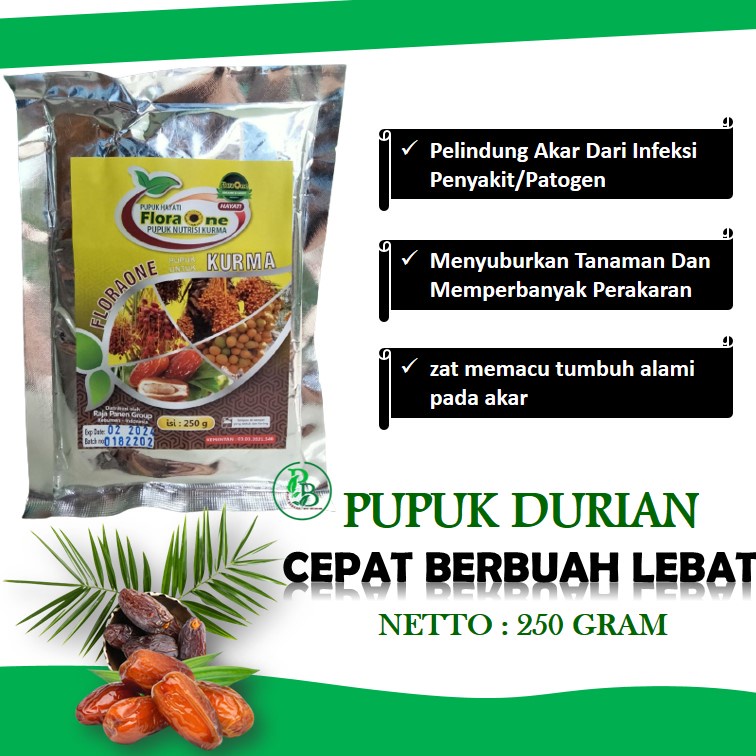 Pupuk pohon kurma agar cepat berbuah, booster hayati untuk pohon kurma