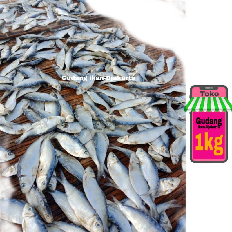 

Ikan asin tembang super-1kg