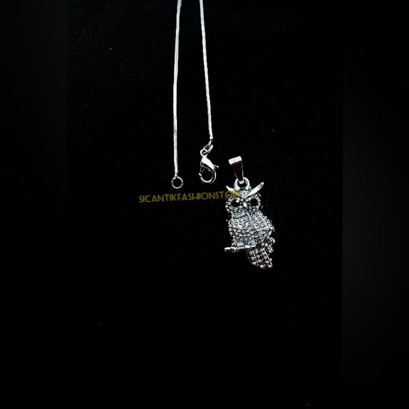 (PROMO)Kalung plus liontin burung hantu Titanium fashion pria terlaris dan terbaru anti karat