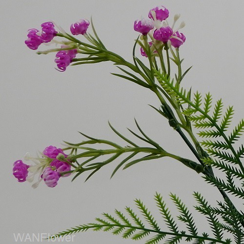 WANFLOWER Daun Pakis BabyBreath X5 * ALL