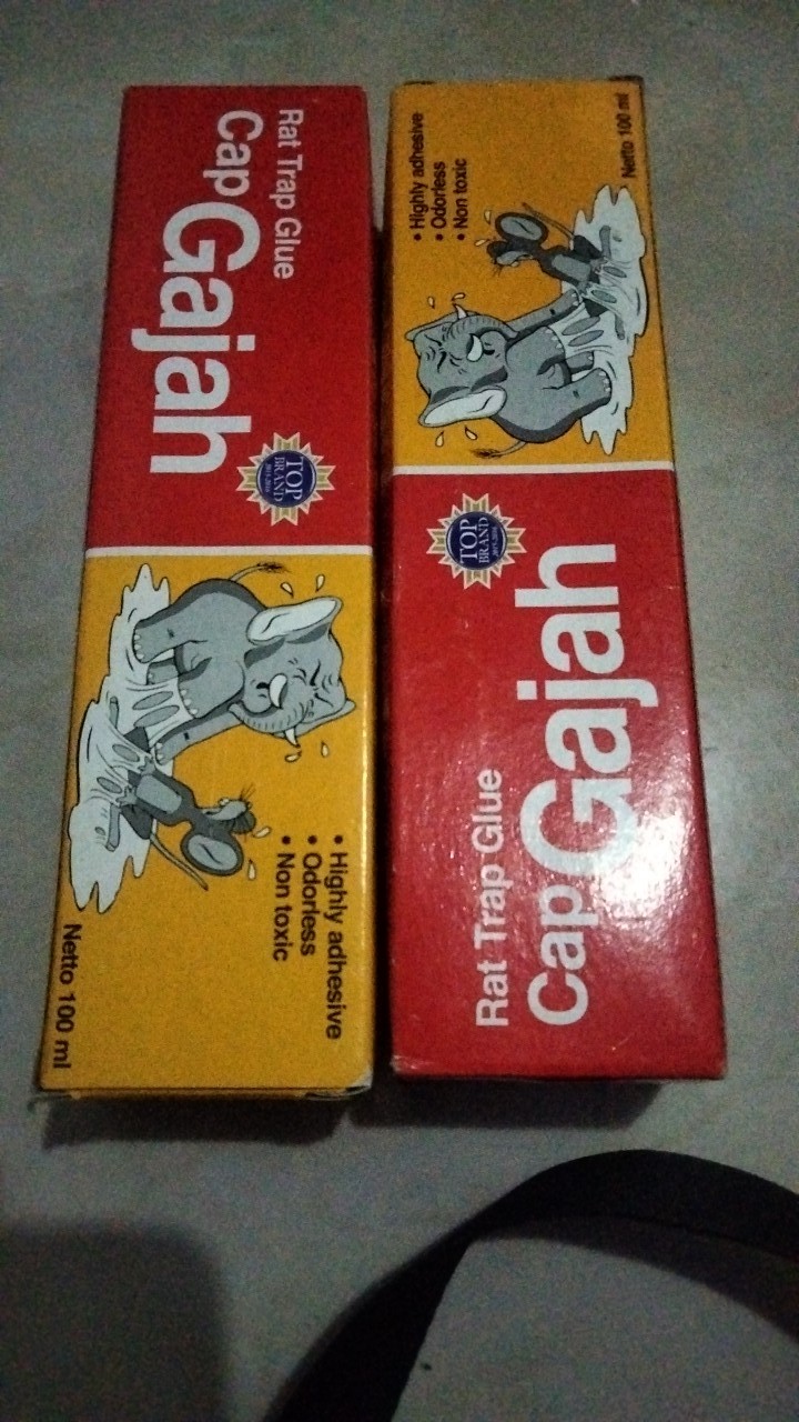 Lem Tikus Cap Gajah 100 Ml Jebakan Tikus