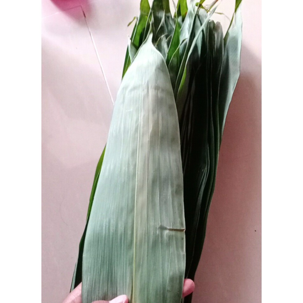 

Daun bambu segar