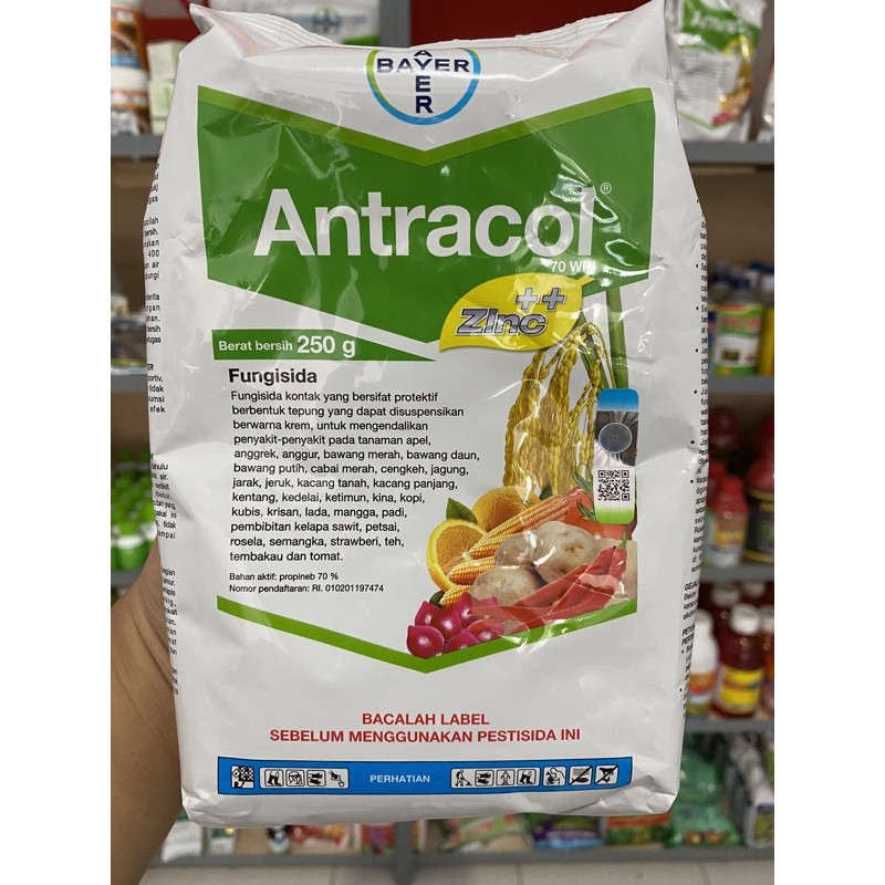 Antracol 250 gram FUNGISIDA