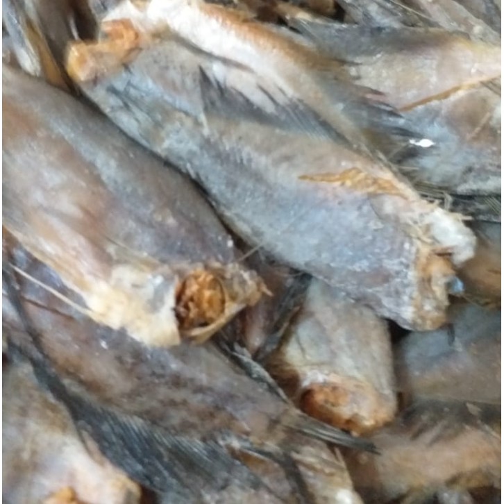 

IKAN ASIN SEPAT 100 gram Depok