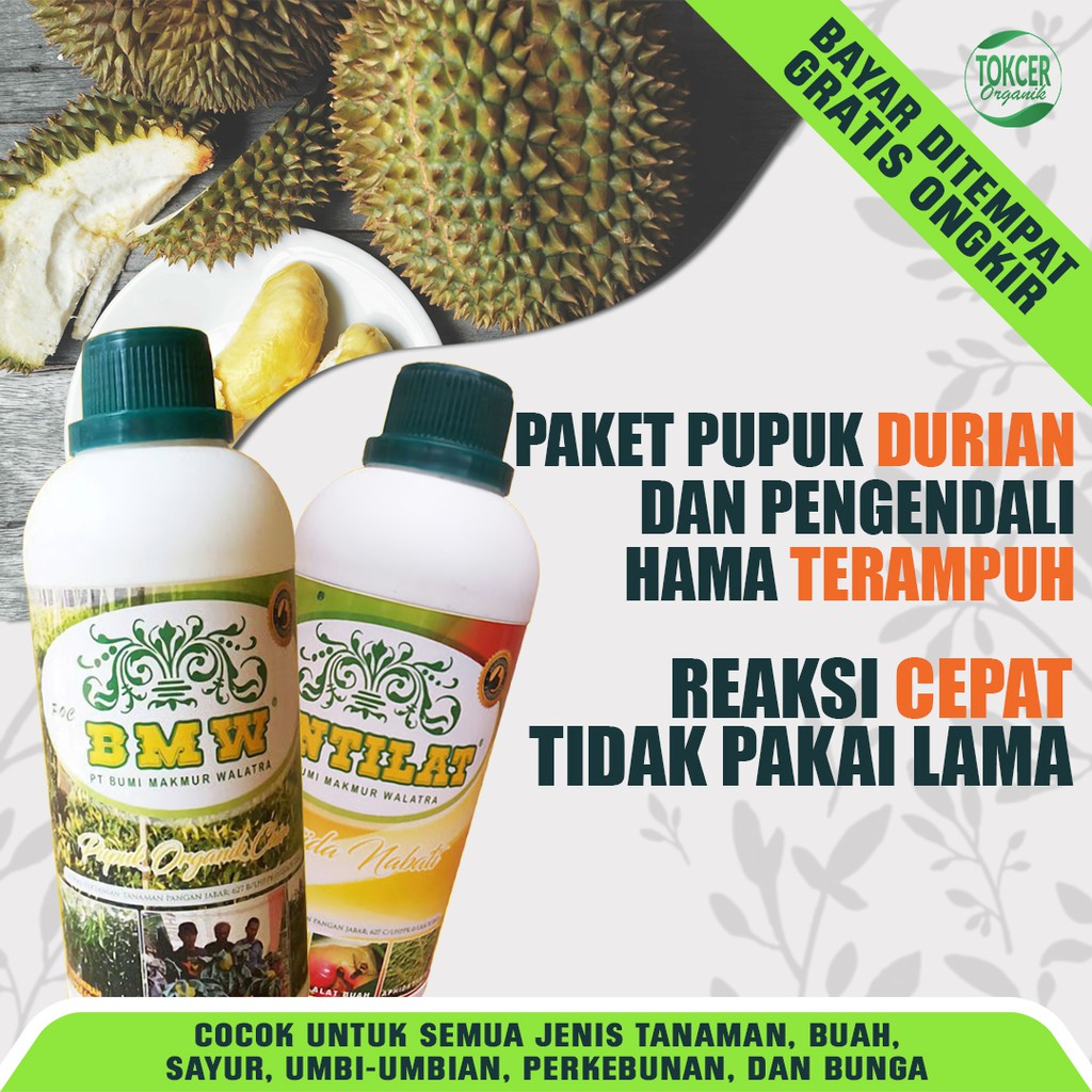 Pupuk Organik Cair Tanaman Durian POC BMW &amp; Pestisida Organik Obat Hama ANTILAT