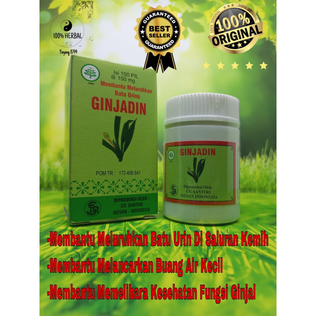 Ginjadin - Obat Peluruh Batu Ginjal