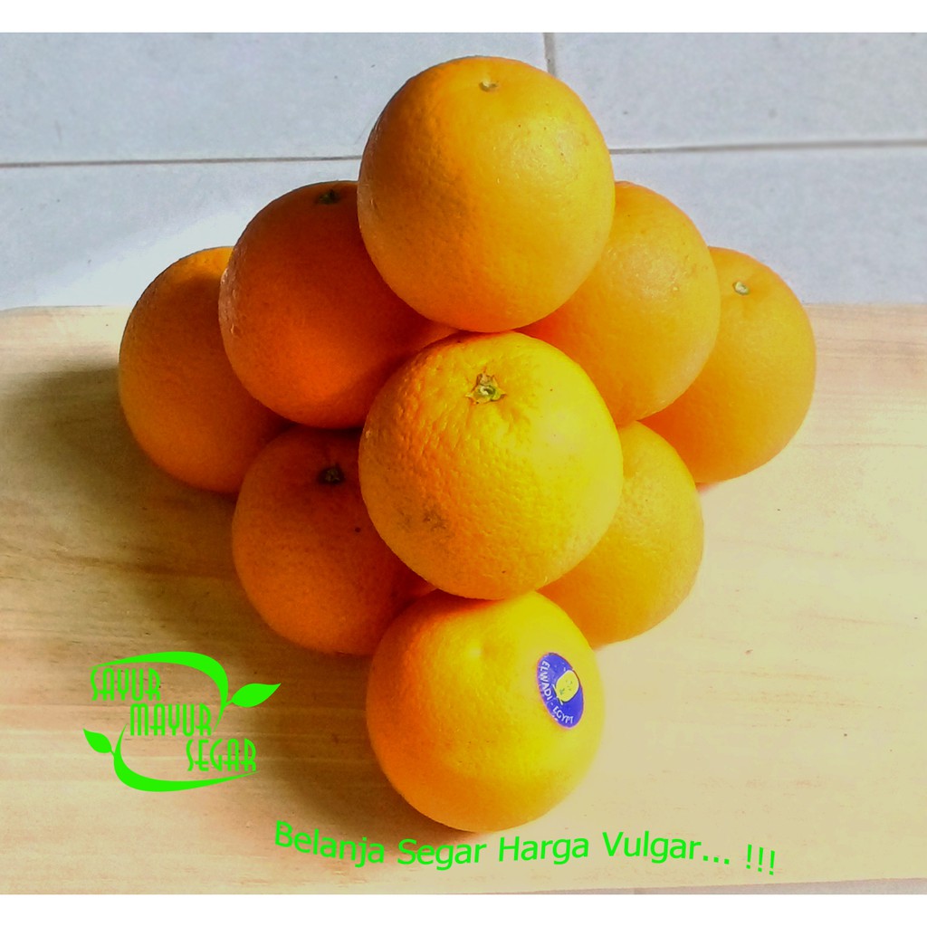 1 Kg Jeruk Medan Berapa Buah | Seputar Buah