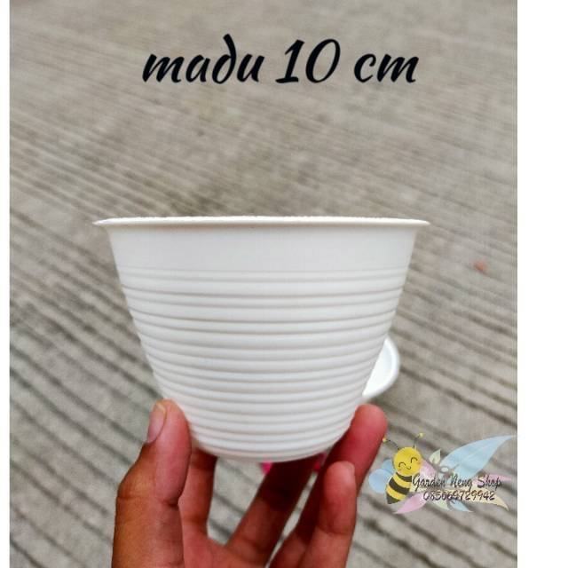  Pot  GUCI  10 cm PUTIH POT  MADU 10 Plastik 10cm Vas Bunga  