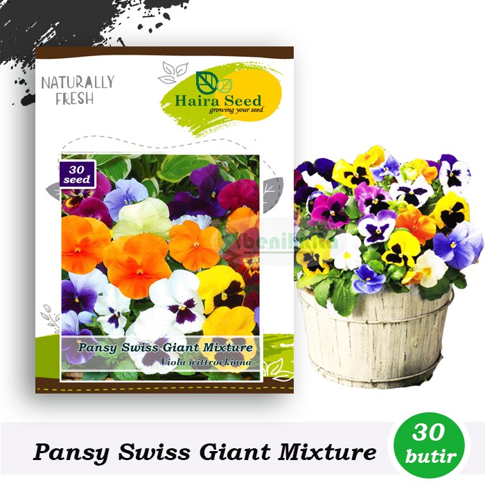 Benih-Bibit Bunga Pansy Swiss Giant Mix (Haira Seed)