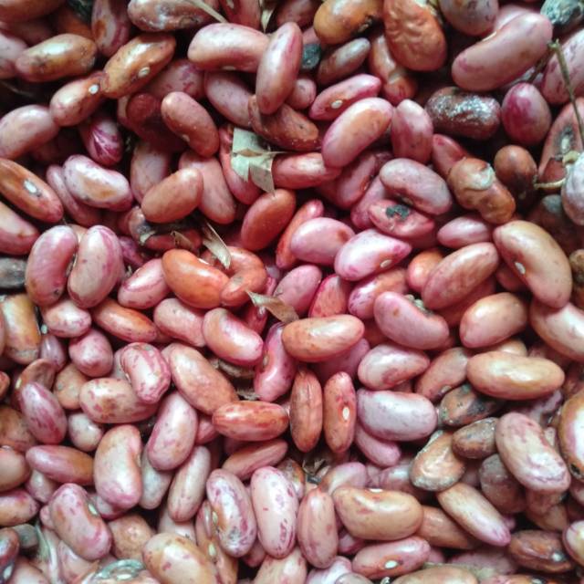 

Red Bean minim order 2 kg