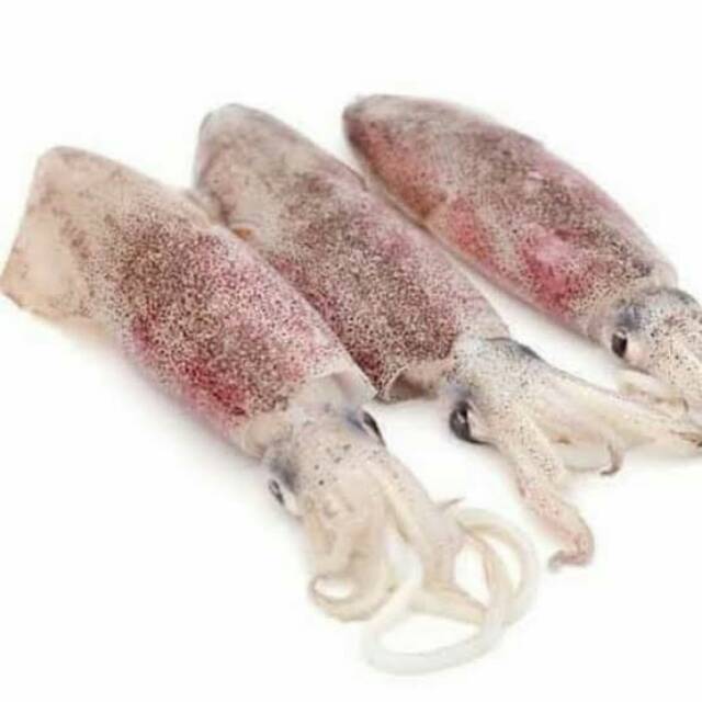 

Ikam cumi basah 500 gram