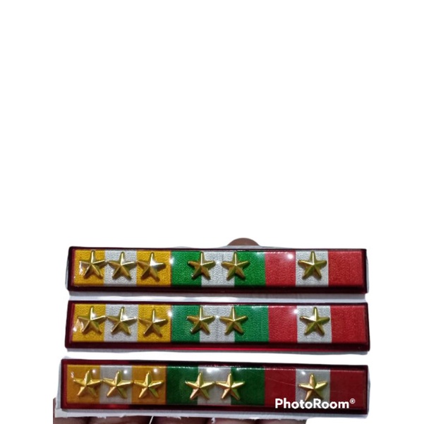 senioritas menwa/alumni iarmi