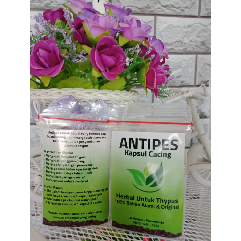 

OBAT TIPES PALING MANJUR KAPSUL CACING ASLI MEREDAKAN THYPUS TIPUS MAAG DEMAM DILONG TILUNG 15gr
