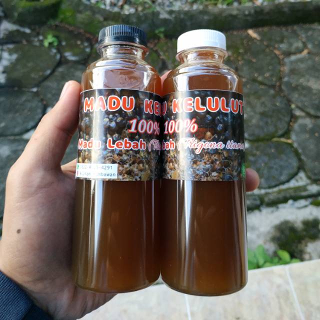 

Madu Kelulut 100% murni dari lebah (trigona itama)