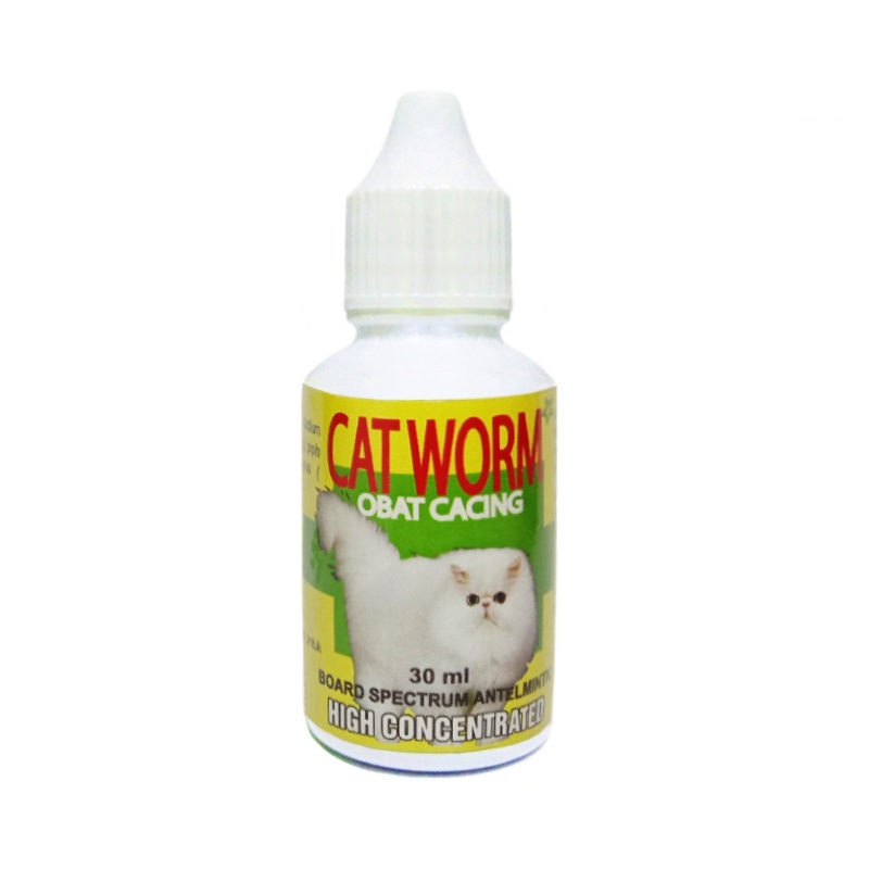 OBAT CACING KUCING CACINGAN AMPUH CAT WORM