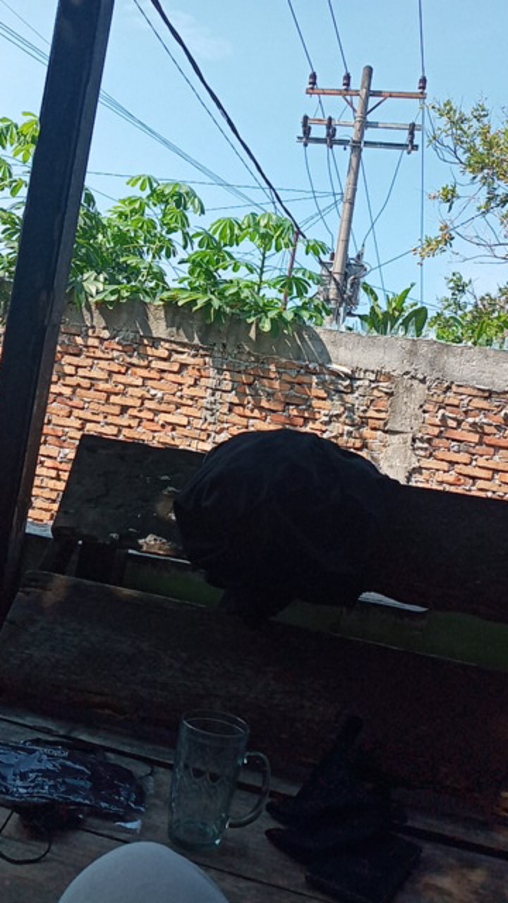 Kuas Kue Silikon / Alat Peralatan Barbeque Bbq Masak / Brush Silicon Silicone Makanan Murah