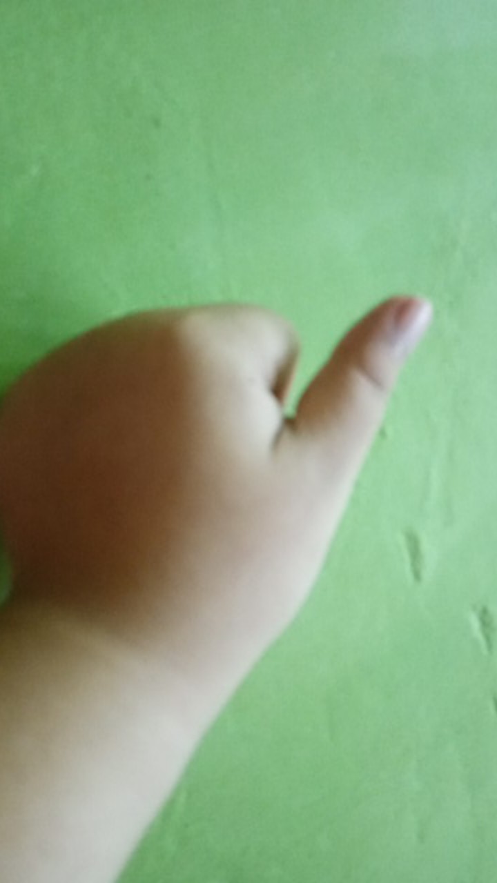 Sikat Wc Gagang Super  Murah