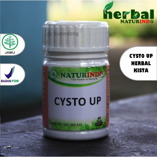CYSTO UP Obat Herbal Kista Dan Miom Dengan Gejala Mudah Lelah Nyeri Bab Beser Perut Kembung-4