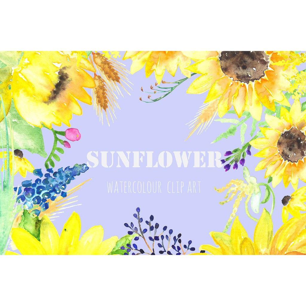 Sunflowers Gold Water Color Clipart - JPEG Ultra HD