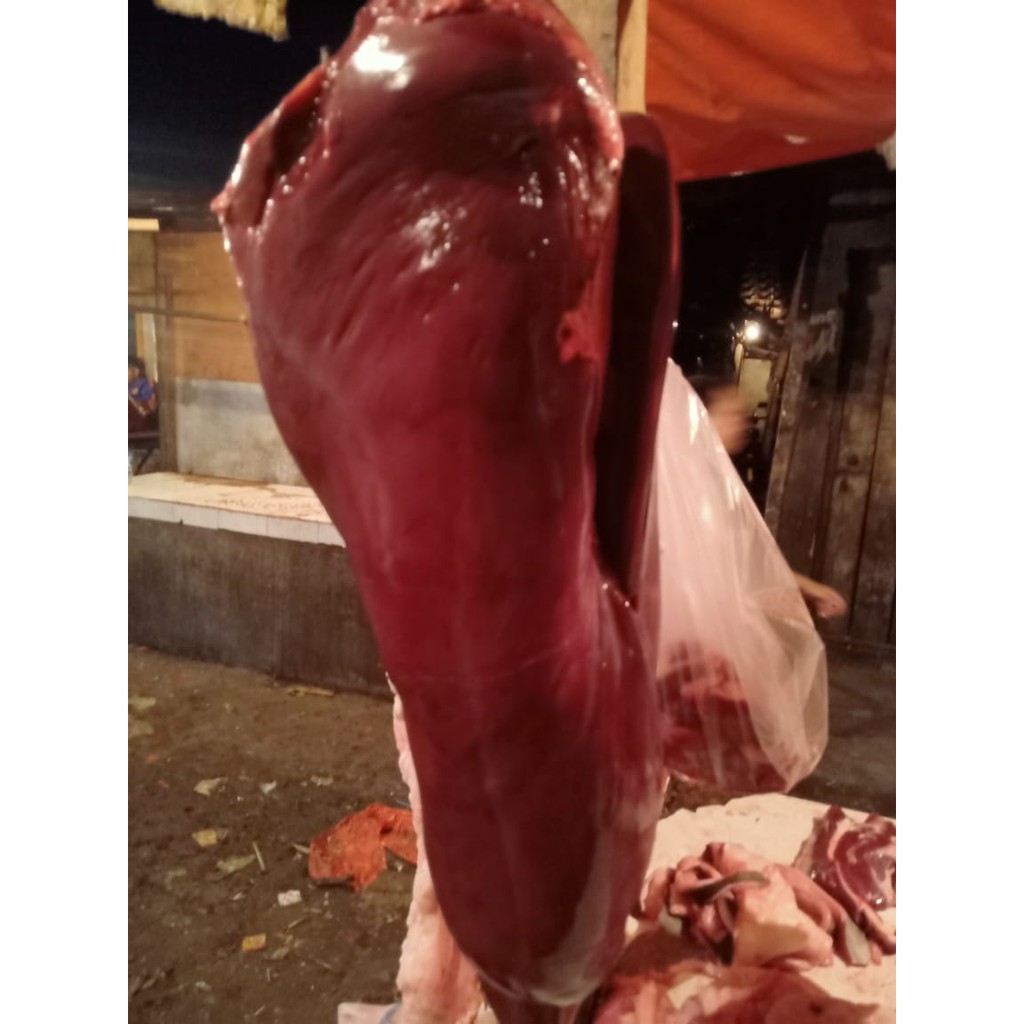 

Hati Sapi Lokal