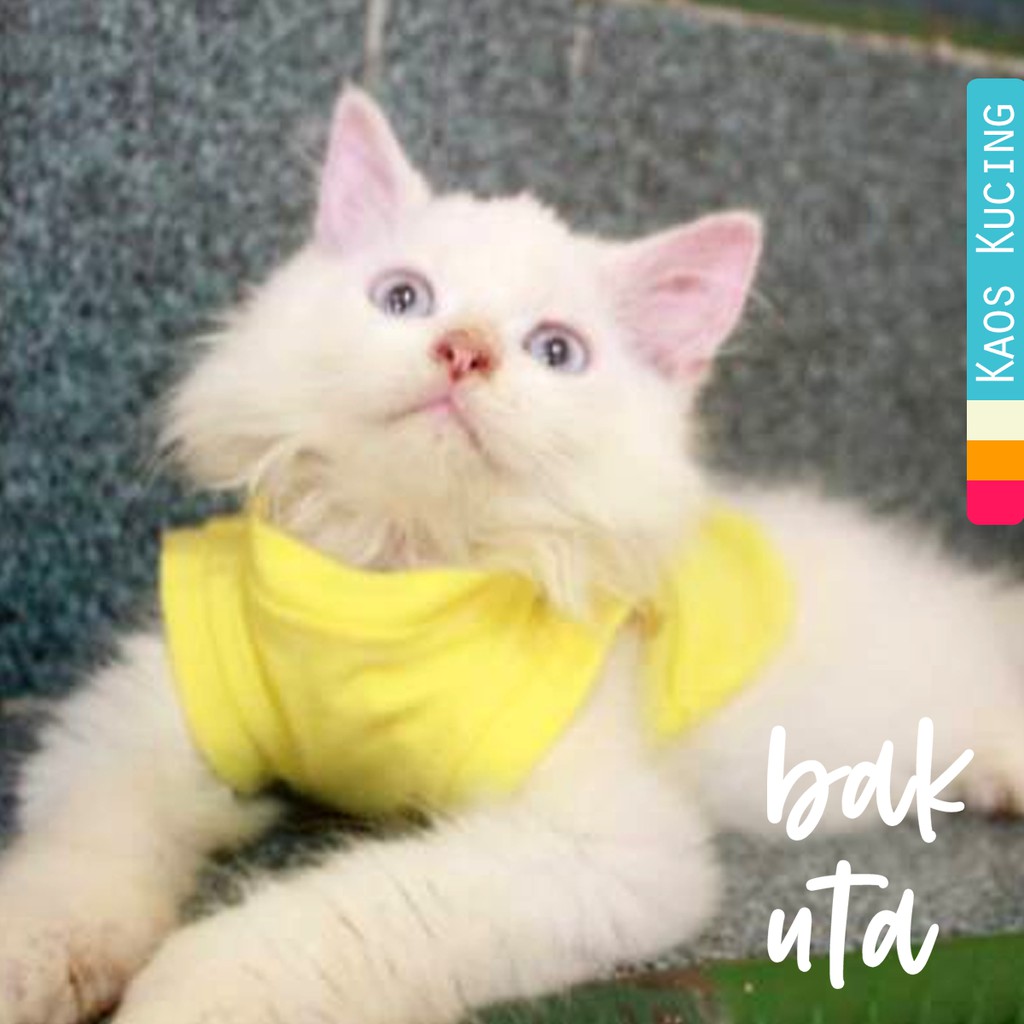 Kaos Simple polos Warna kuning lucu untuk kucing dan anjing size S M L XL (pilih size)