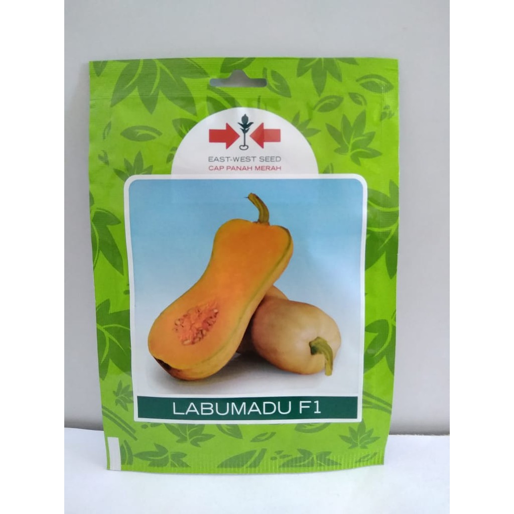 Benih / Bibit Labu Madu Panah Merah @ 10 Butir