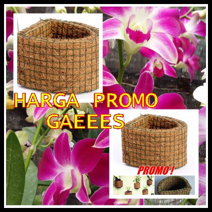 Pot Sabut Kelapa Untuk Anggrek Bulan Tempel Dinding