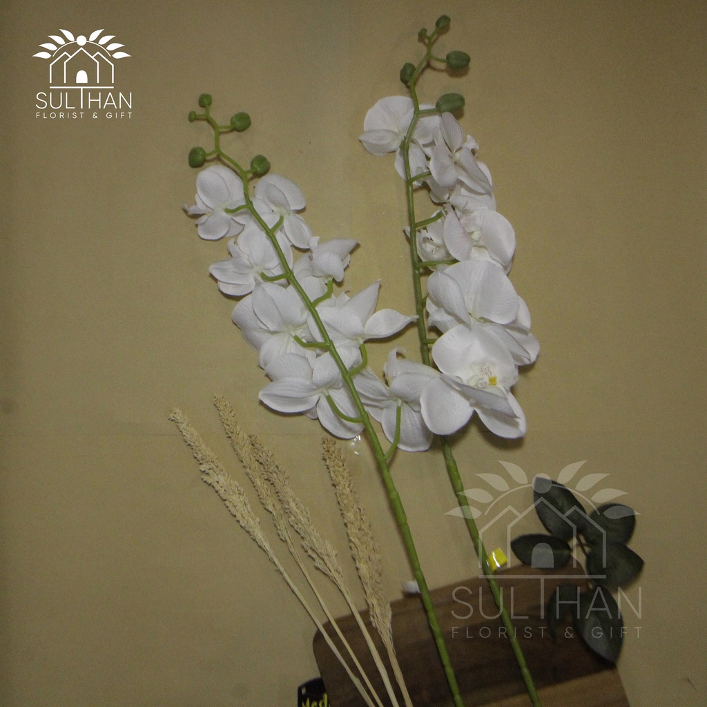 Bunga Anggrek Premium Artificial Putih Import Grosir