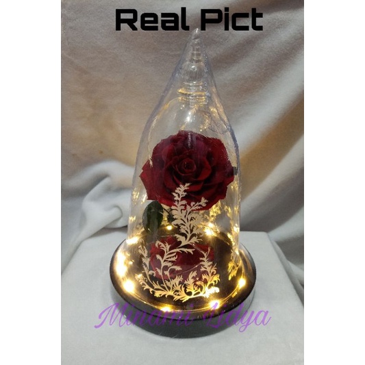 bunga beauty and the beast preserved rose impor led valentine gift hadiah anniversary