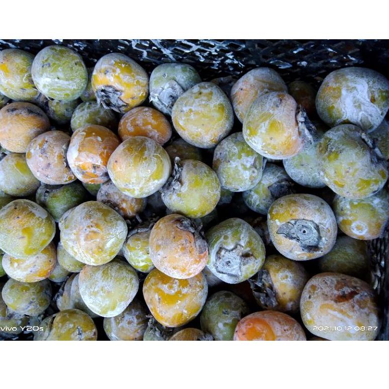 

Terlaris➘ GGQRR BUAH KESEMEK , PERSIMMON, APEL GENIT, LOKAL berat 1 kg. Pengiriman dari Medan 61 ✼Be