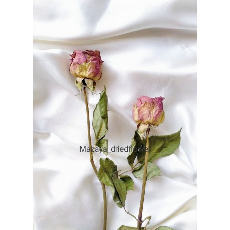 bunga mawar Kering / dried flower rose / bunga kering