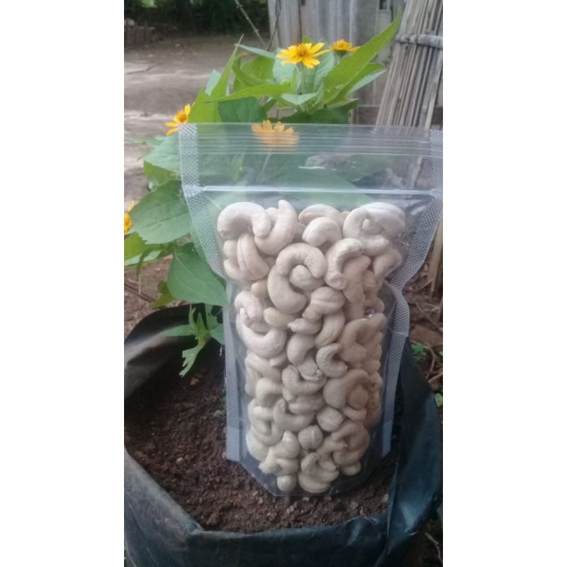 

Kacang Mete Wonogiri | Mete Mentah | Mete Goreng | Mete murah