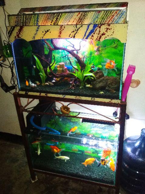 Aquarium Akuarium Kaca Ukuran 60 X 30 X 35 Cm 60x30x35 Untuk