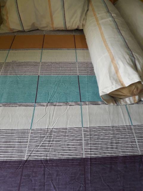 Sprei All New My Love 2in1 Duo 120x200 Tinggi 30 Whale Tikus Dino Cat Leaf Single 120 T30 Sp Sorong