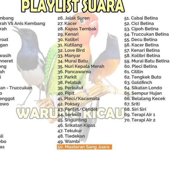 New Masteran Burung Kicau Speaker Audio Full Termurah Semua