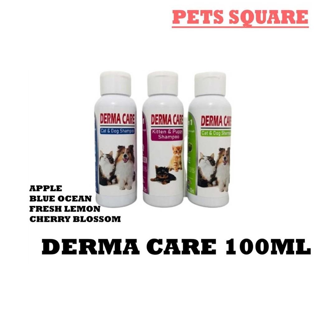 Shampoo Derma Care 100ML Anti Jamur Kutu