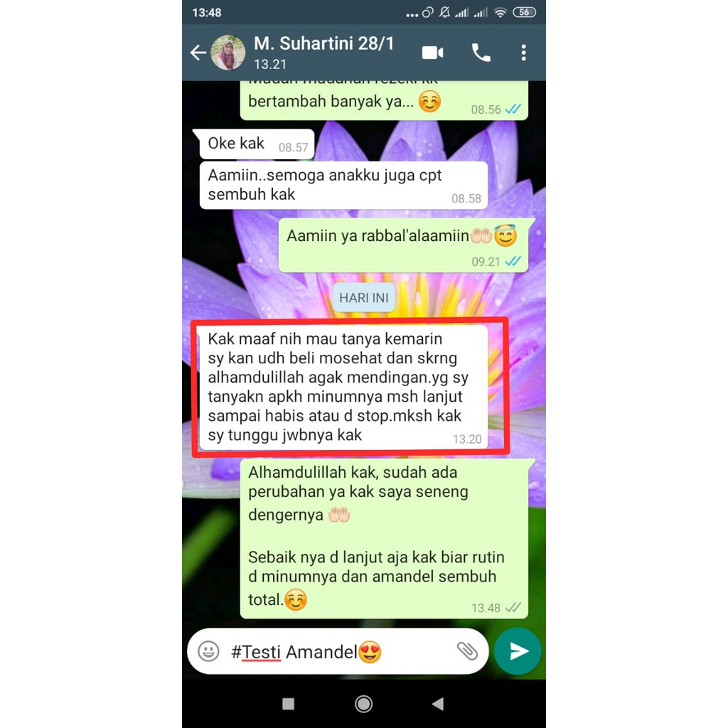 MOSEHAT  30 ML OBAT HERBAL ORIGINAL-2