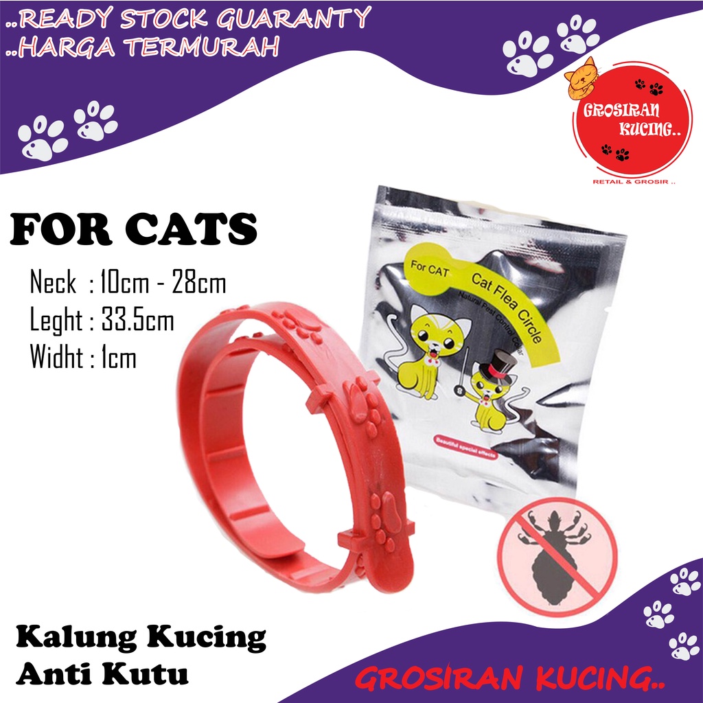 Kalung Anti Kutu Kucing Anjing Kelinci/No Flea/ Obat Kutu