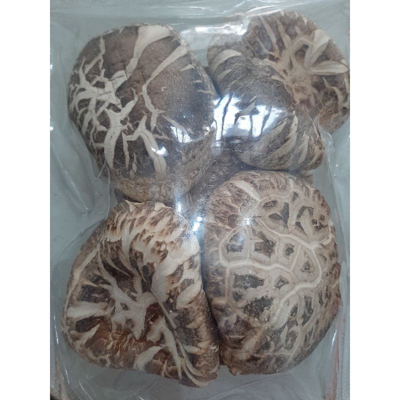 JAMUR HIOKO JUMBO TEBAL KUALITAS BAGUS berat 200gram