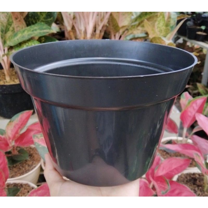 Pot Bibit Polos 20/Pot Bunga Tanaman ukuran 20/Pot Pembibitan Ukuran 20