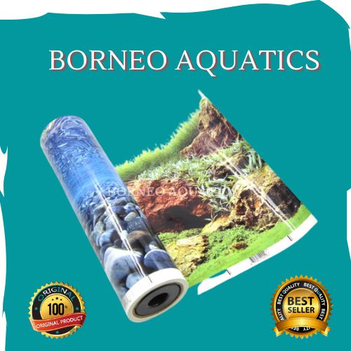 BACKGROUND GAMBAR AQUARIUM // 30 CM // AQUARIUM // AQUASCAPE // PONTIANAK